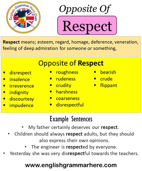 Respect definition essay example